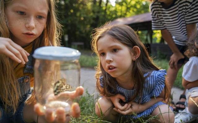 ideas of sequencing activities for child sequencing skills