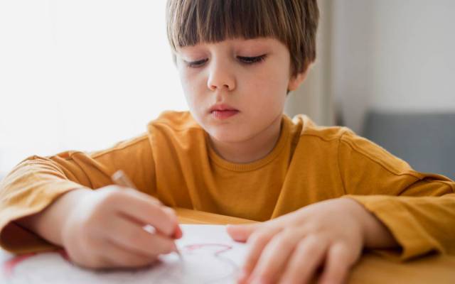 trastornos del aprendizaje y discapacidad de aprendizaje en la disgrafía lingüística o la disgrafía del desarrollo